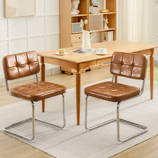 Modern Dining Chairs Set of 2