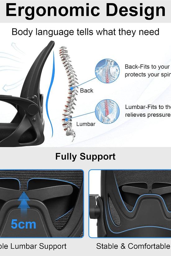 Primy Office Chair Ergonomic Desk Chair with Adjustable Lumbar Support and Height