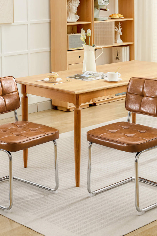 Modern Dining Chairs Set of 2